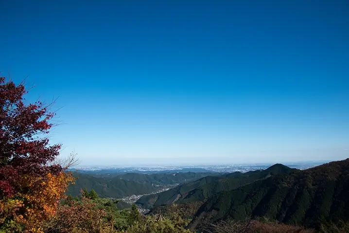 奥多摩周遊道路の魅力